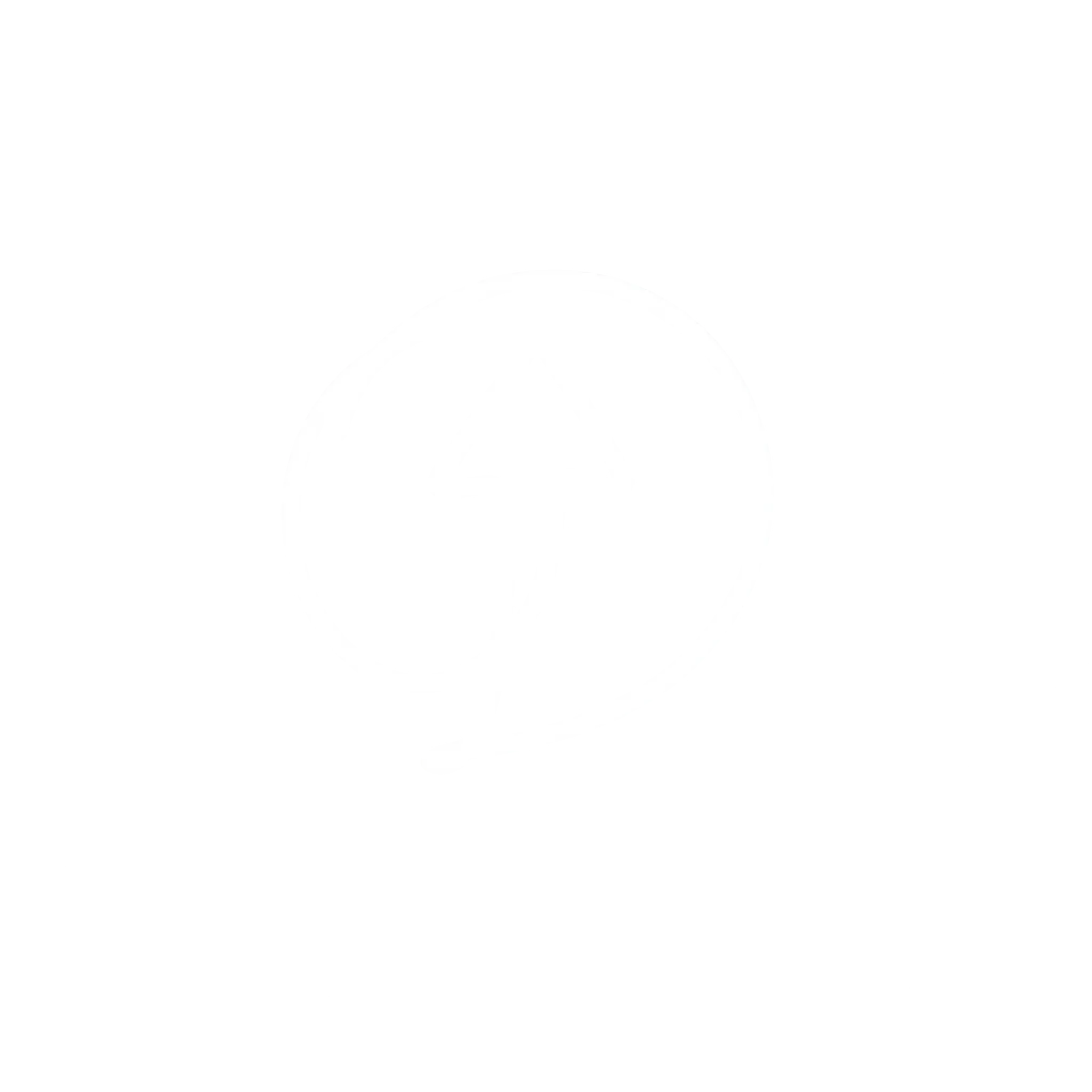 flèche retour en haut de la page